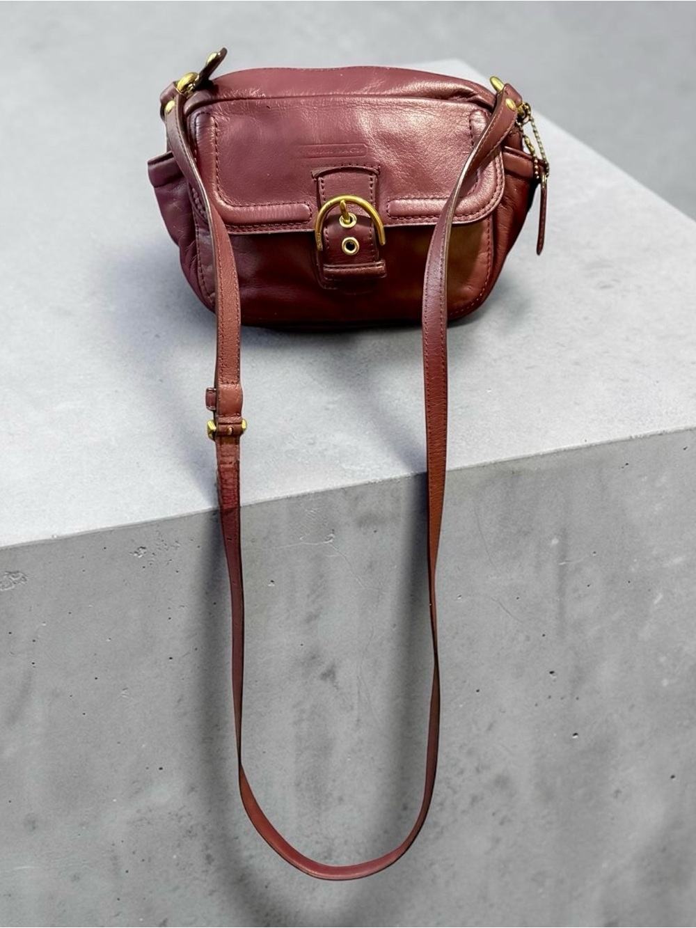 Coach F25150 Campbell Camera Eggplant Leather Crossbody Bag with Gold Hardware